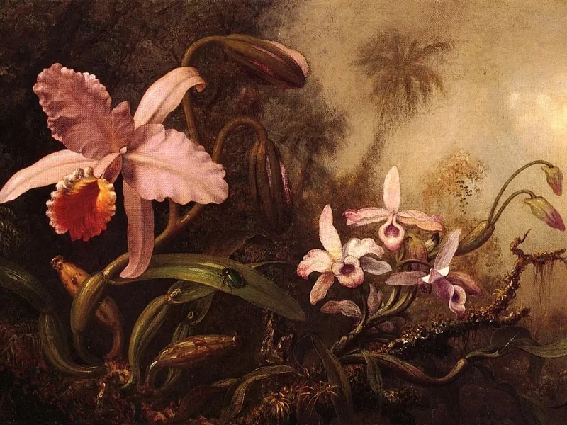 1819-Martin Johnson Heade - Orchidee e uno scarabeo